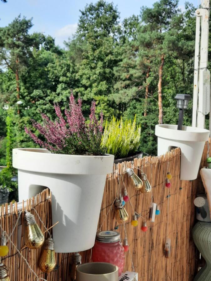 Ferienwohnung Apartament Zorzy Przy Instytucie Kardiologii Anin Warschau Exterior foto